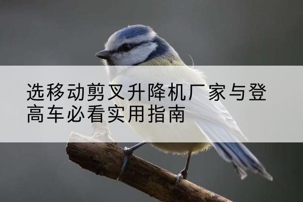 尖山电动升降机厂家-选移动剪叉升降机厂家与登高车必看实用指南