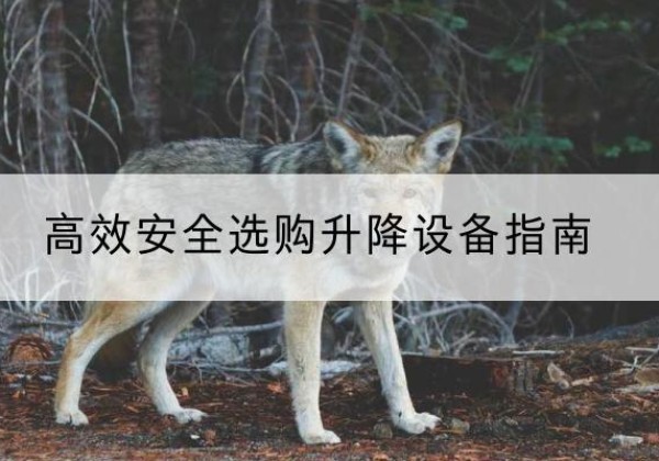 尖山升降货梯厂家推荐-*安全选购升降设备指南